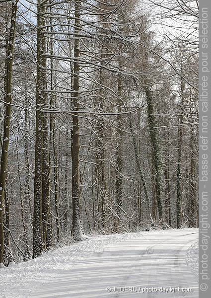 route en hiver